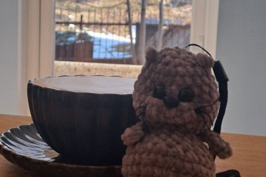 photo_2026-04-06_16-04-38